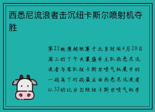 西悉尼流浪者击沉纽卡斯尔喷射机夺胜